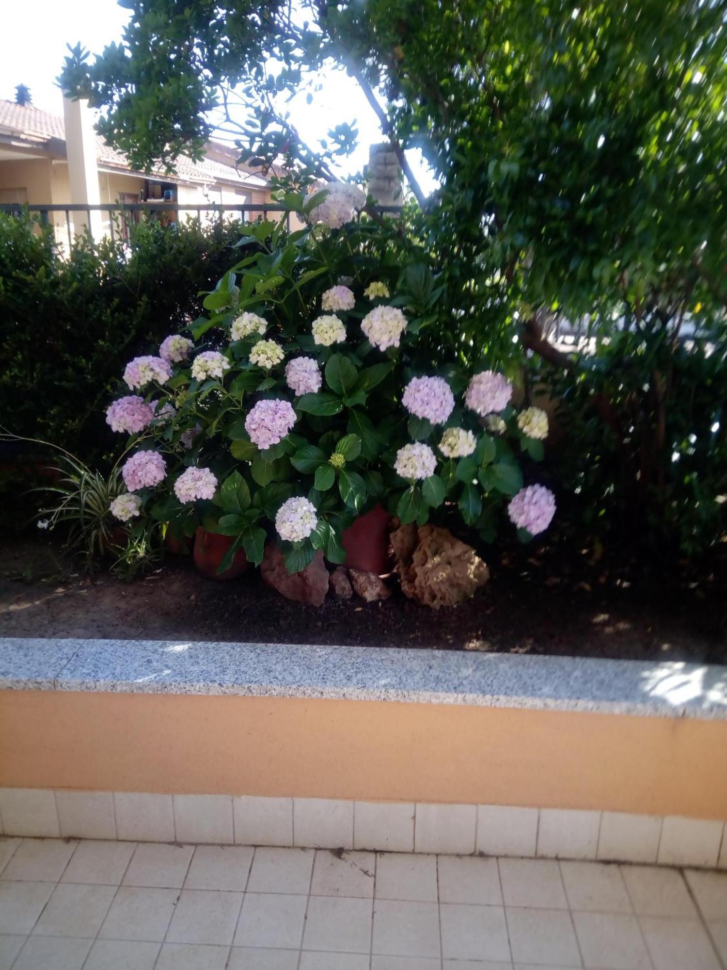 Willa Casa Al Mare Con Giardino Alghero Zewnętrze zdjęcie